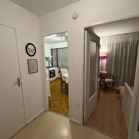 Appartement Charming In The Heart Of Colmar