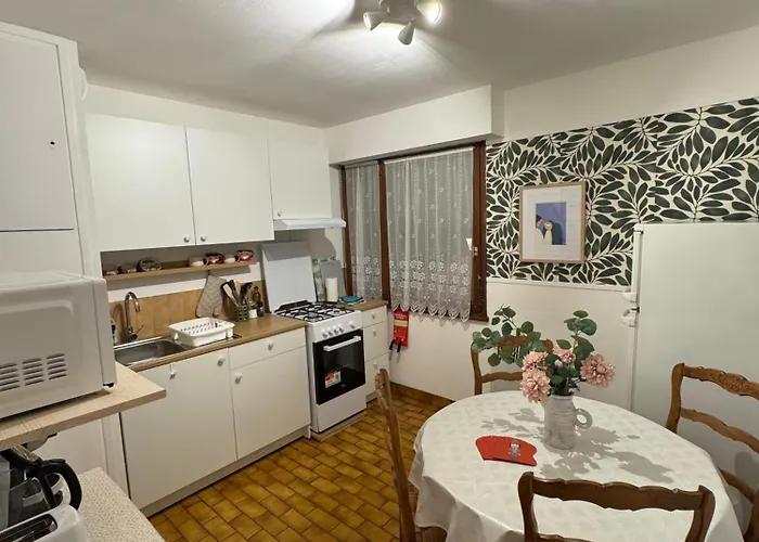 Charming In The Heart Of Daire Colmar