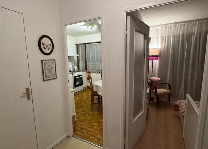 Appartement Charming In The Heart Of Colmar